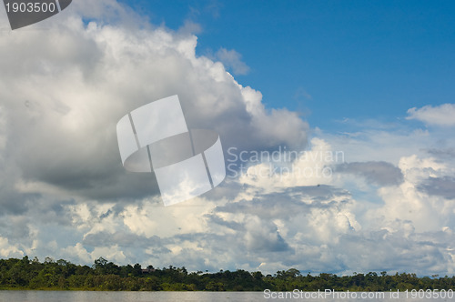 Image of Peruivian Amazon rainforest