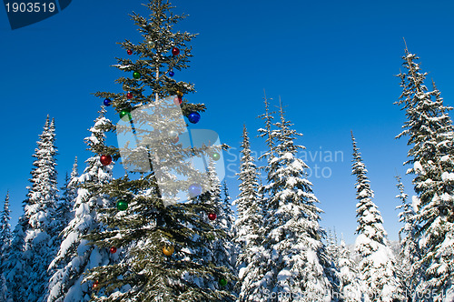 Image of Decorated seasonal tree in a winter forest