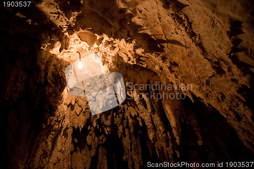 Image of Jenolan Caves Lightbulb