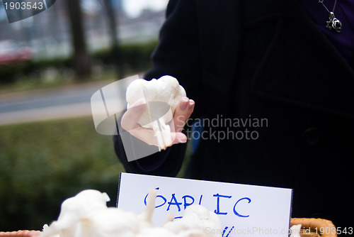 Image of Picking a garlic clove