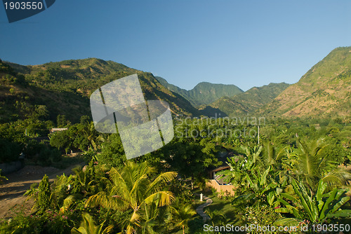 Image of Bali path and landscape