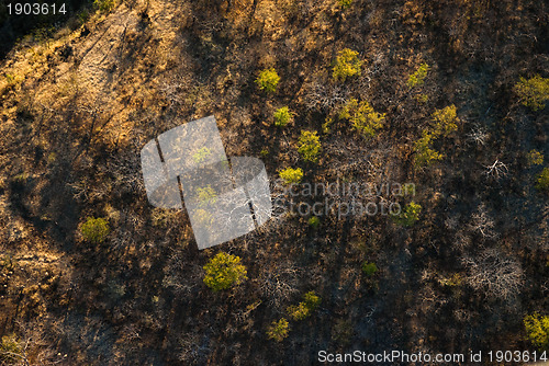 Image of Savanna from the air
