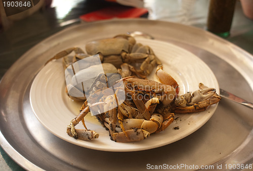 Image of Hard shelled crabs