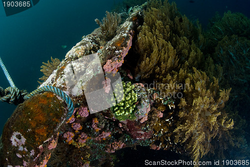 Image of Underwater shipwreck