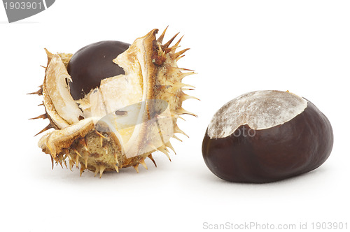 Image of Chestnuts with shell