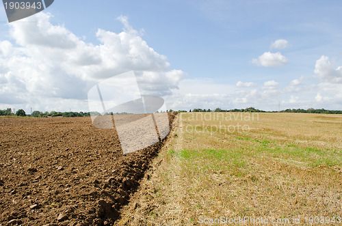 Image of Partly plowed agricultural autumn field and sky 