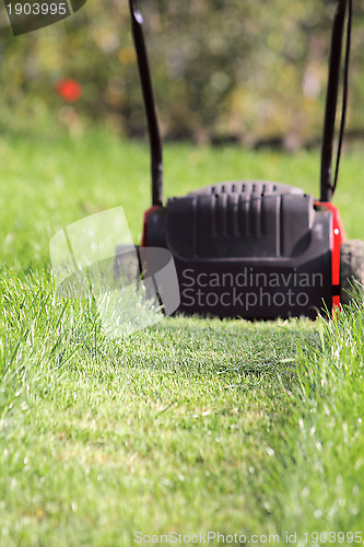 Image of Lawn-mower cuts a grass
