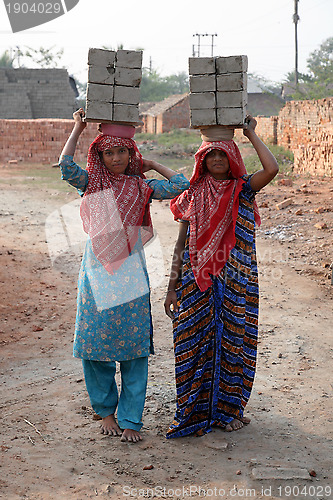 Image of Brick field workers carrying complete finish brick from the kiln