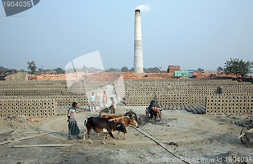 Image of Brick field in Sarberia, West Bengal, India