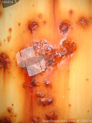 Image of Rusty metal