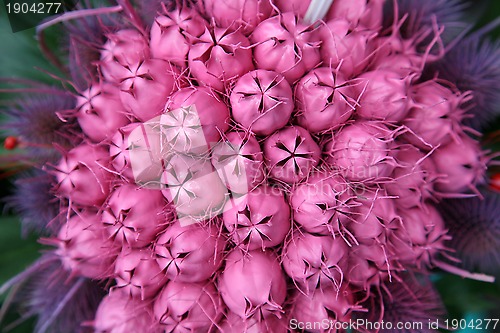 Image of Floral Arrangement