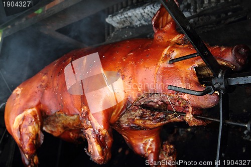 Image of roasted pig 