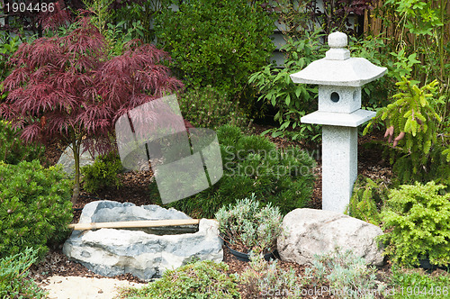Image of corner of the garden in Japanese style 
