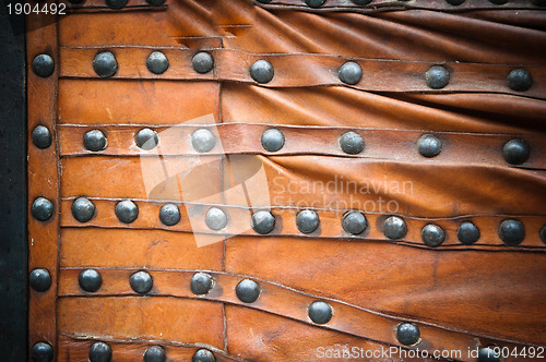 Image of background from the skin with a wrought-iron rivets 