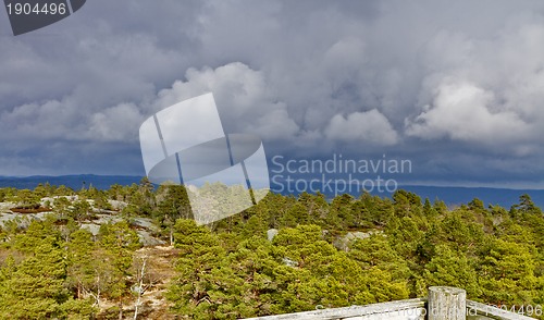 Image of view over forest with cloudy sky