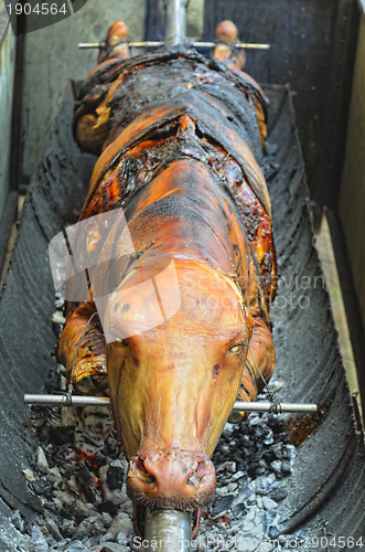 Image of Roasted Cow