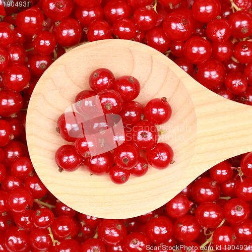 Image of Red currants