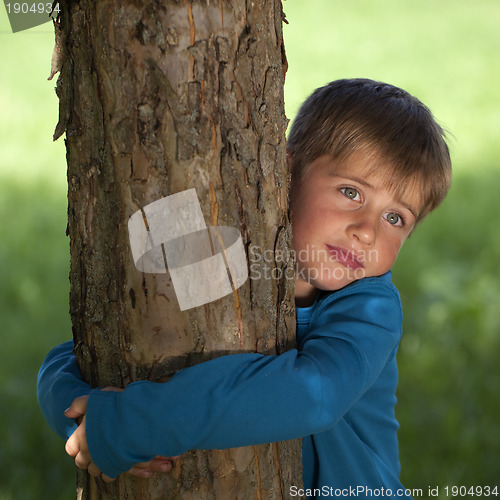 Image of Little boy embracing a tree