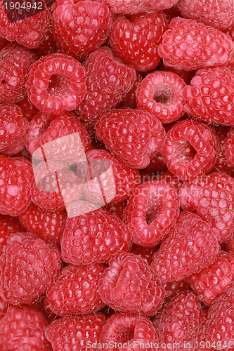 Image of Fresh Raspberries