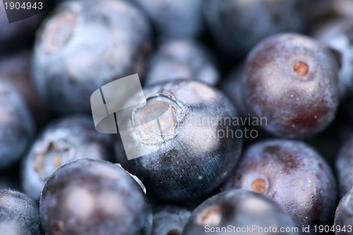 Image of Blueberries