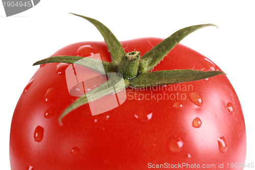 Image of Closeup of a fresh tomato