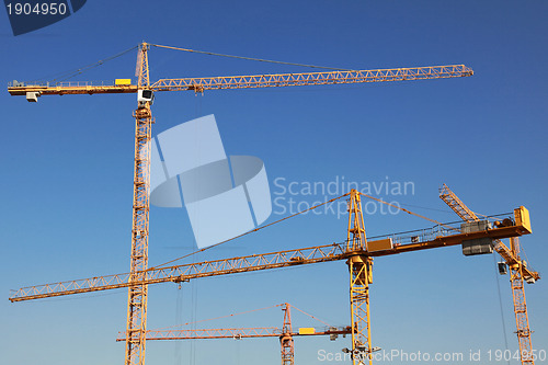 Image of Cranes on a construction site
