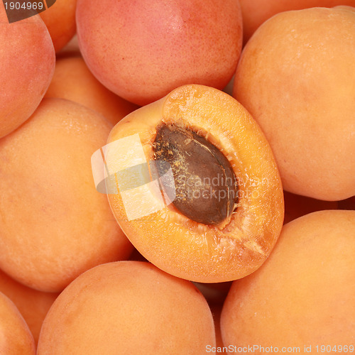 Image of Ripe apricots