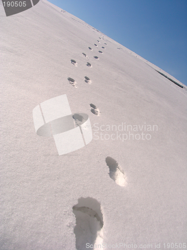 Image of Footsteps on the snow