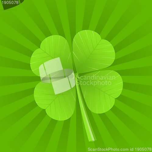 Image of Clover Illustration