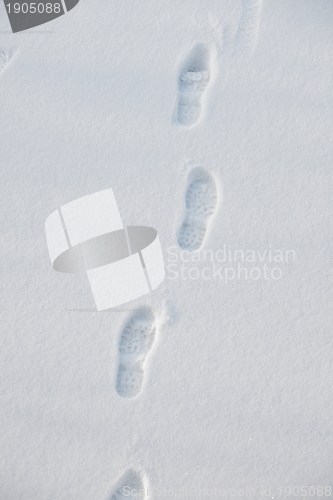 Image of Footprints