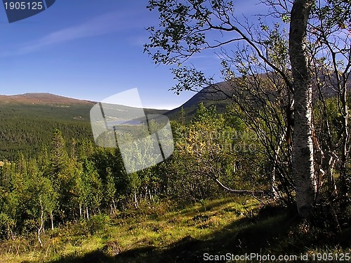 Image of Mountains Landscape