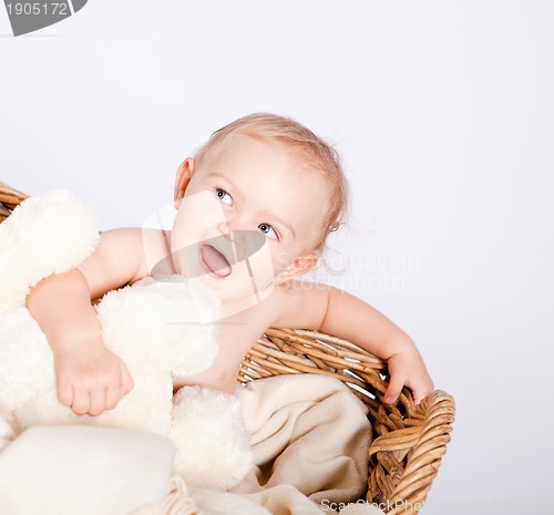 Image of cute little baby infant in basket with teddy 