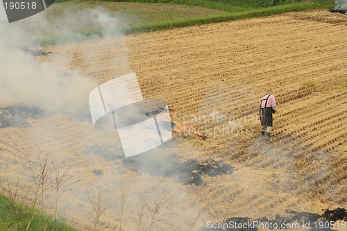 Image of Autumn work