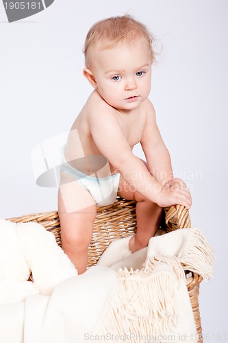 Image of cute little baby infant in basket with teddy 