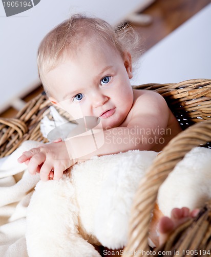 Image of cute little baby infant in basket with teddy 