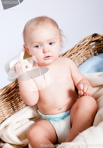 Image of cute little baby infant in basket with teddy 