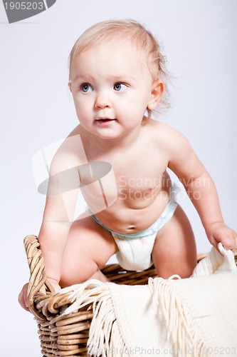 Image of cute little baby infant in basket with teddy 