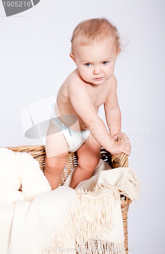 Image of cute little baby infant in basket with teddy 