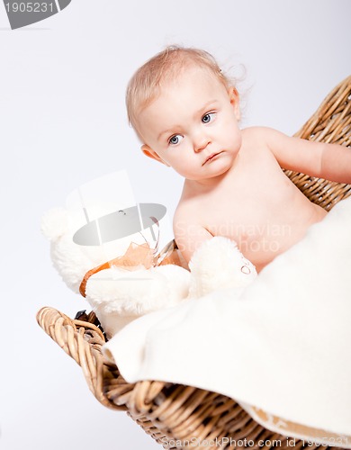 Image of cute little baby infant in basket with teddy 