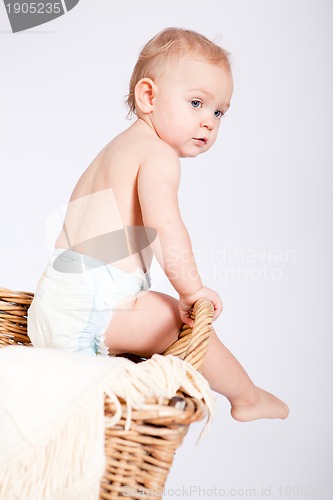 Image of cute little baby infant in basket with teddy 