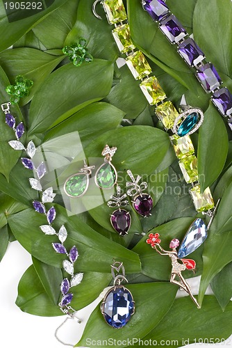 Image of Jewelry at green leaves