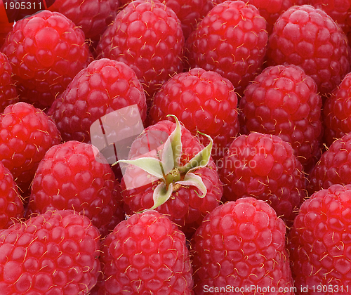 Image of Background of Raspberries 