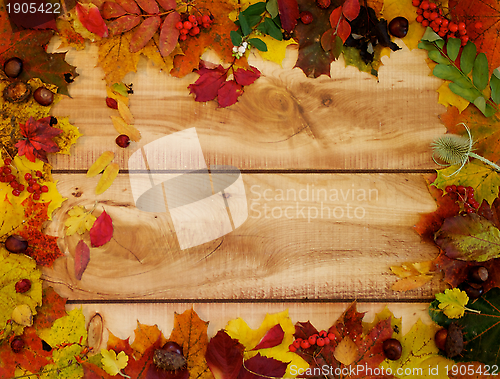 Image of Autumn Leafs and Yield