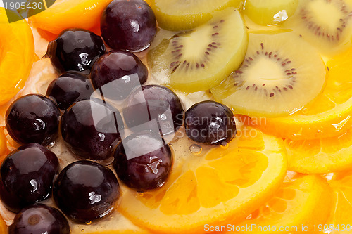 Image of oranges, grapes, kiwi and peaches topping