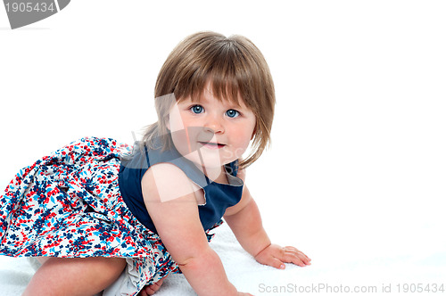 Image of Cute little baby girl crawling