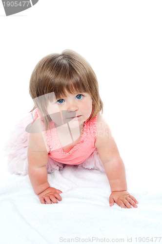 Image of Isolated curious pretty girl child crawling
