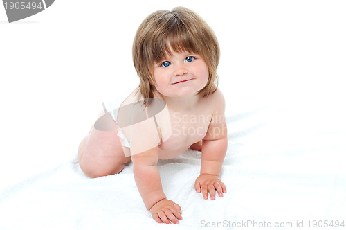Image of Charming toddler in diapers trying to crawl