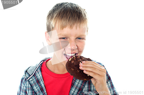 Image of Smart looking young boy relishing yummy chocolate cookie