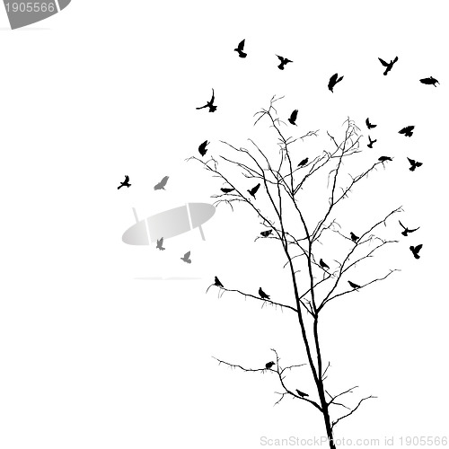 Image of Birds and tree silhouettes