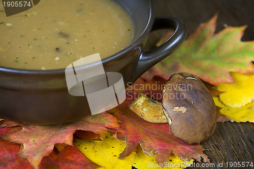 Image of Mushroom soup